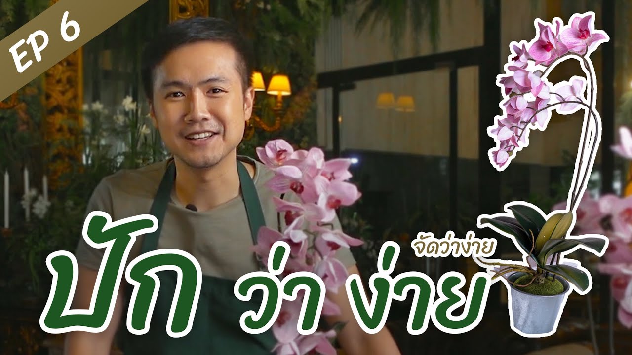 ปักกระถางกล้วยไม้ “ปักว่าง่าย” I จัดว่าง่าย Ep.6