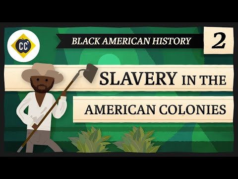 כיצד עיצבה העבדות את החברה הקולוניאלית הדרומית?