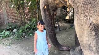 Elephant riding and giving food