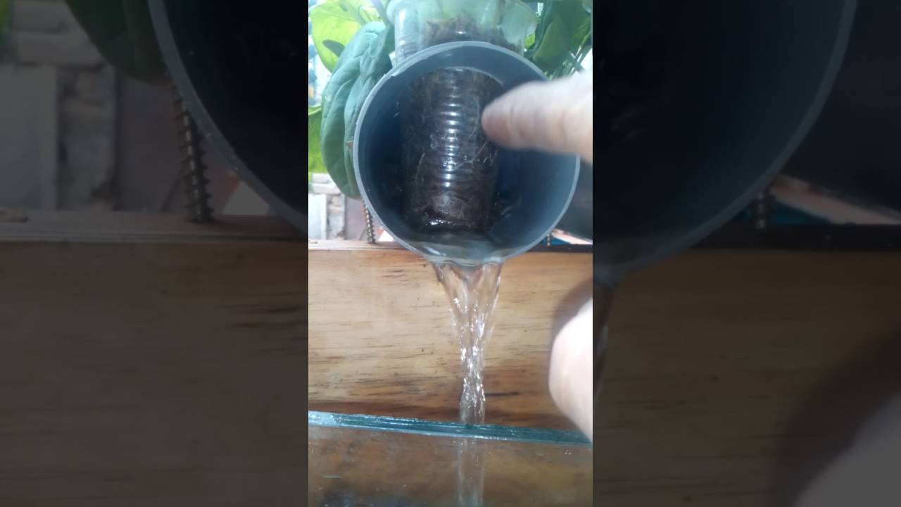 ACUAPONIA en  PERU CONSEJOS PRACTICOS