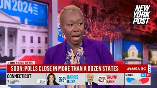 MSNBC’s Joy Reid rages against ‘fascist-type government’ after Florida’s abortion amendment fails