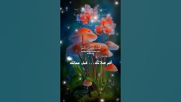 تلاوة خاشعة عطرة مباركة جميلة عذبة للشيخ عبدالباسط عبدالصمد رحمه الله ماتيسر من سورة الحديد