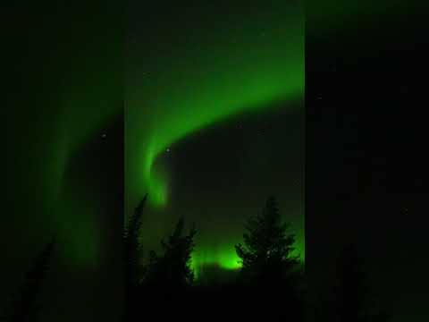 Video: Polar Nights Skandinaviassa