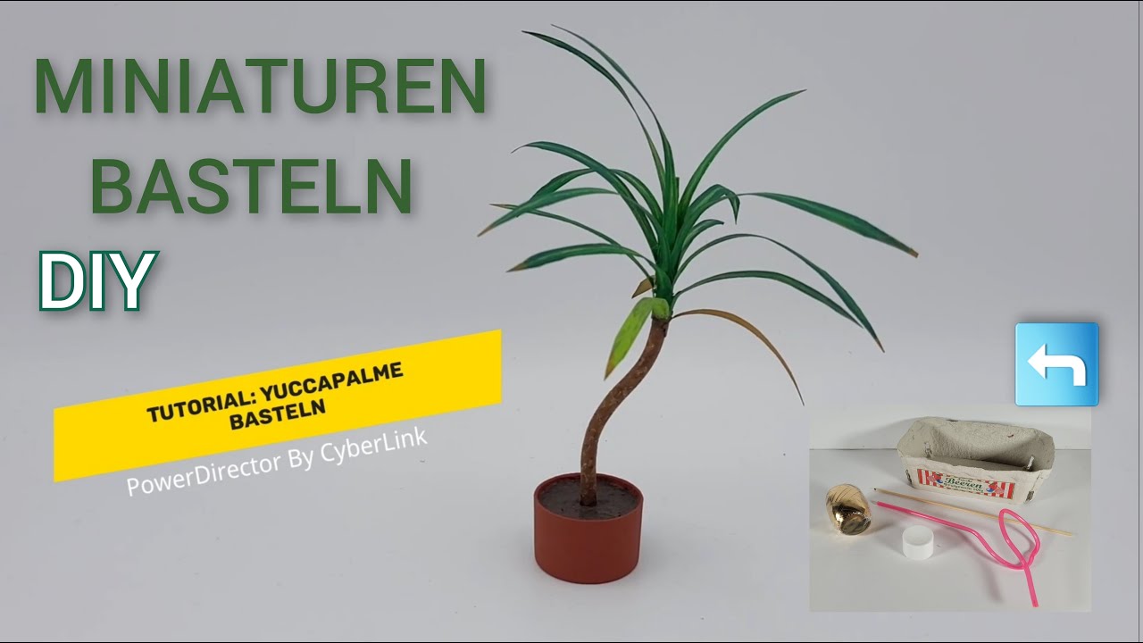 bio weizen saatgut Nackthafer Bio-Saat, 1 kg – Eschenfelder