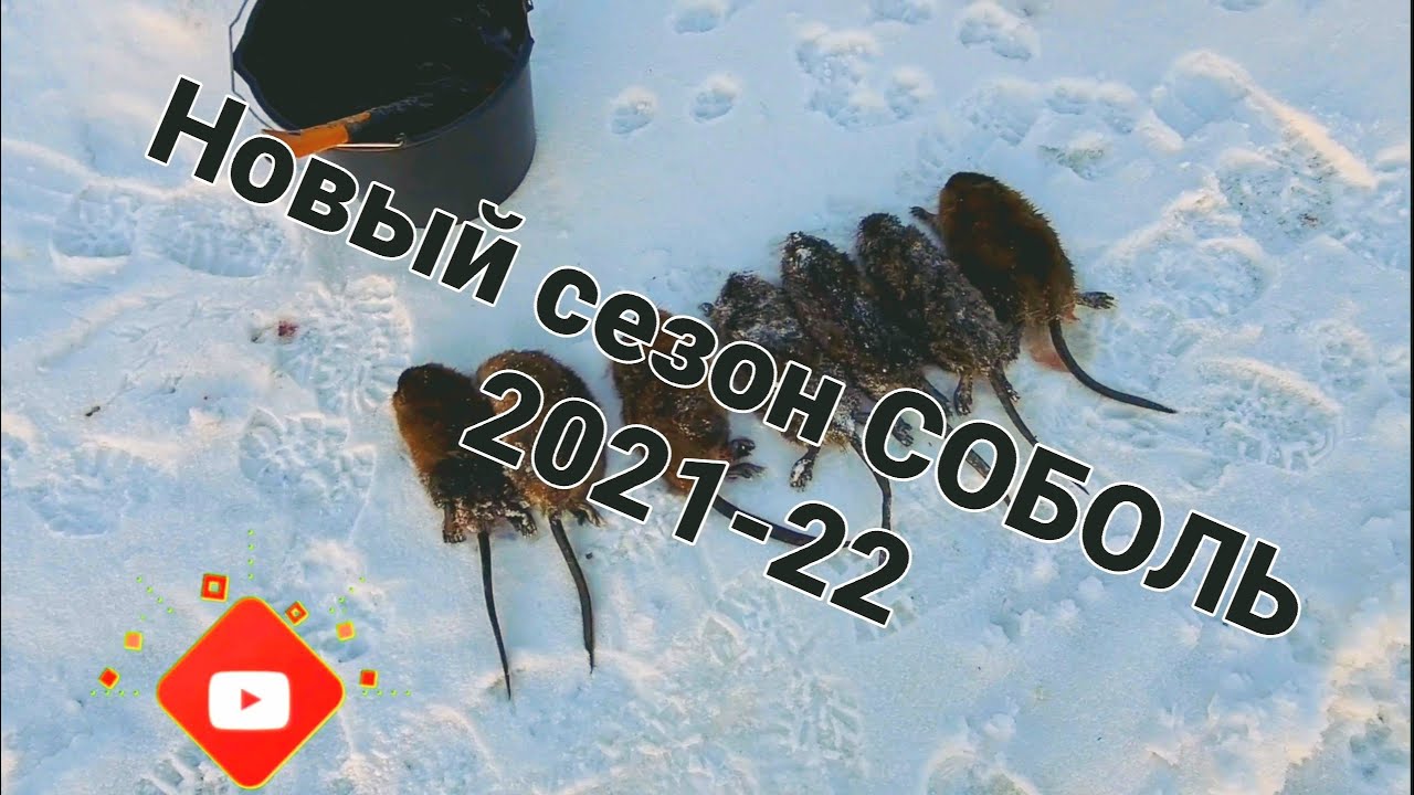 Предохранители на соболь