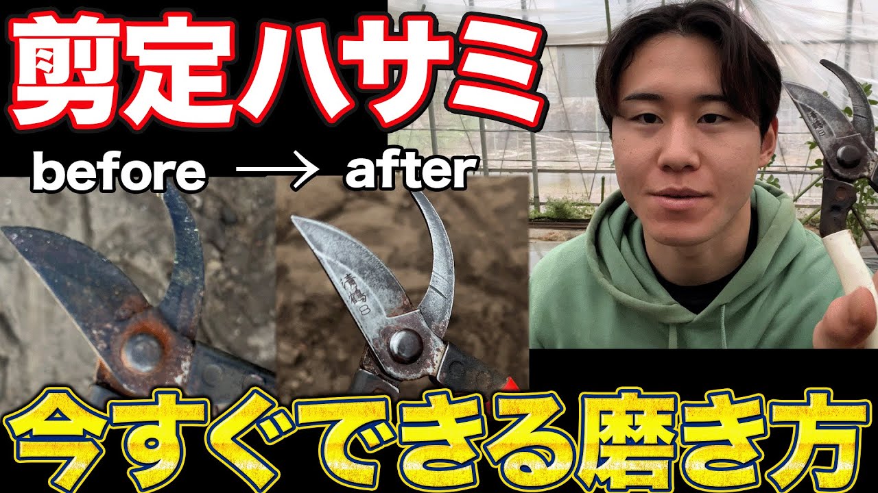 Only 5 minutes!?] How to take care of your pruning shears to make