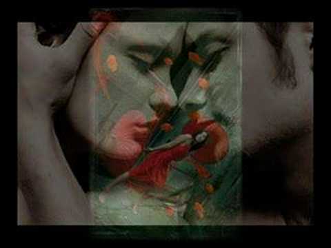 dana nalbaru am nimic fara tine free mp3 dana nalbaru am nimic fara tine free mp3