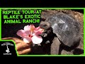 COMPLETE REPTILE TOUR AT BLAKE'S EXOTIC ANIMAL RANCH!