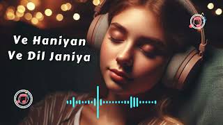 Ve Haniyan Ve Dil Janiya : Official Song | Ravi Dubey & Sargun Mehta | Danny | Dreamiyata Music