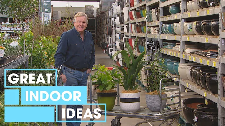 How to Choose the Best Indoor Plants for Your Home | Indoor | Great Home Ideas