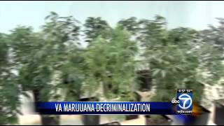 Marijuana decriminalization proposed for Virginia
