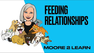 Feeding relationships AQA BIOLOGY TRILOGY GCSE lesson with WORKSHEET- Predator Prey cycles