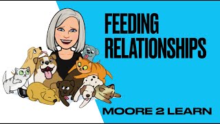 Feeding relationships AQA BIOLOGY TRILOGY GCSE lesson with WORKSHEET- Predator Prey cycles