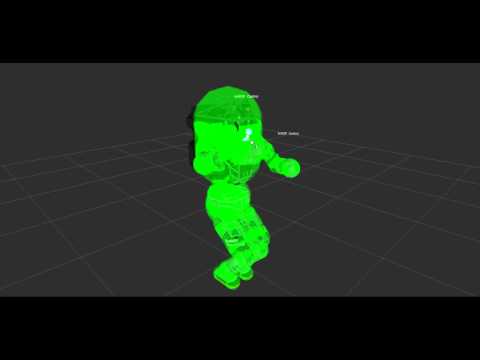 Whole Body Control