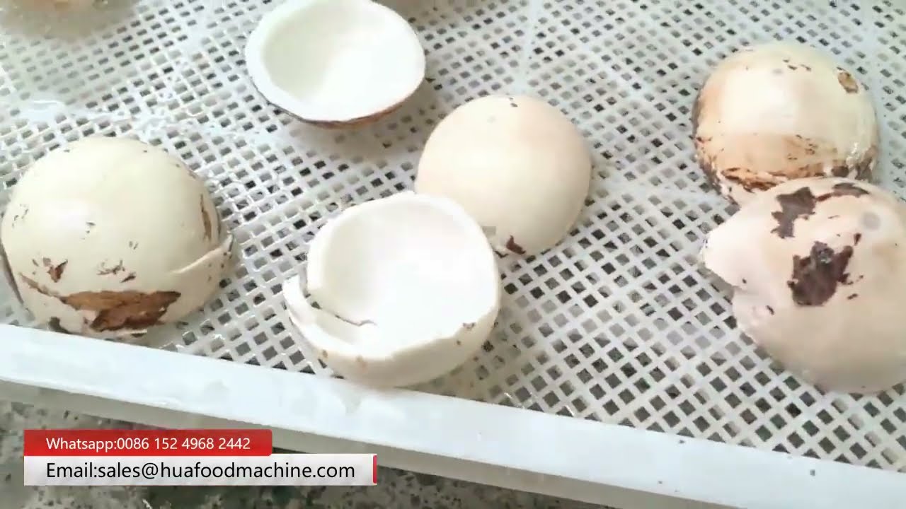 High Efficiency Coconut Meat Bubble Washing Machine