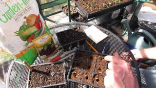 How to Seed Start Beets in Seed Cells: Great Cool Weather Vegetables - MFG 2014