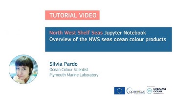 Jupyter Tutorial - NWS Seas - Ocean Colour products - Overview of the products