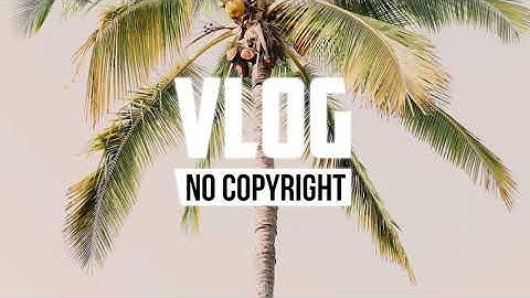 Vlad Gluschenko - Palm Trees (Vlog No Copyright Music)