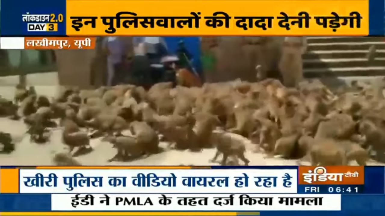 Watch: Police feed monkeys in U.P`s Lakhimpur Kheri district amid lockdown