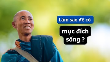 Làm sao để có mục đích sống ? Sư Minh Tuệ trả lời