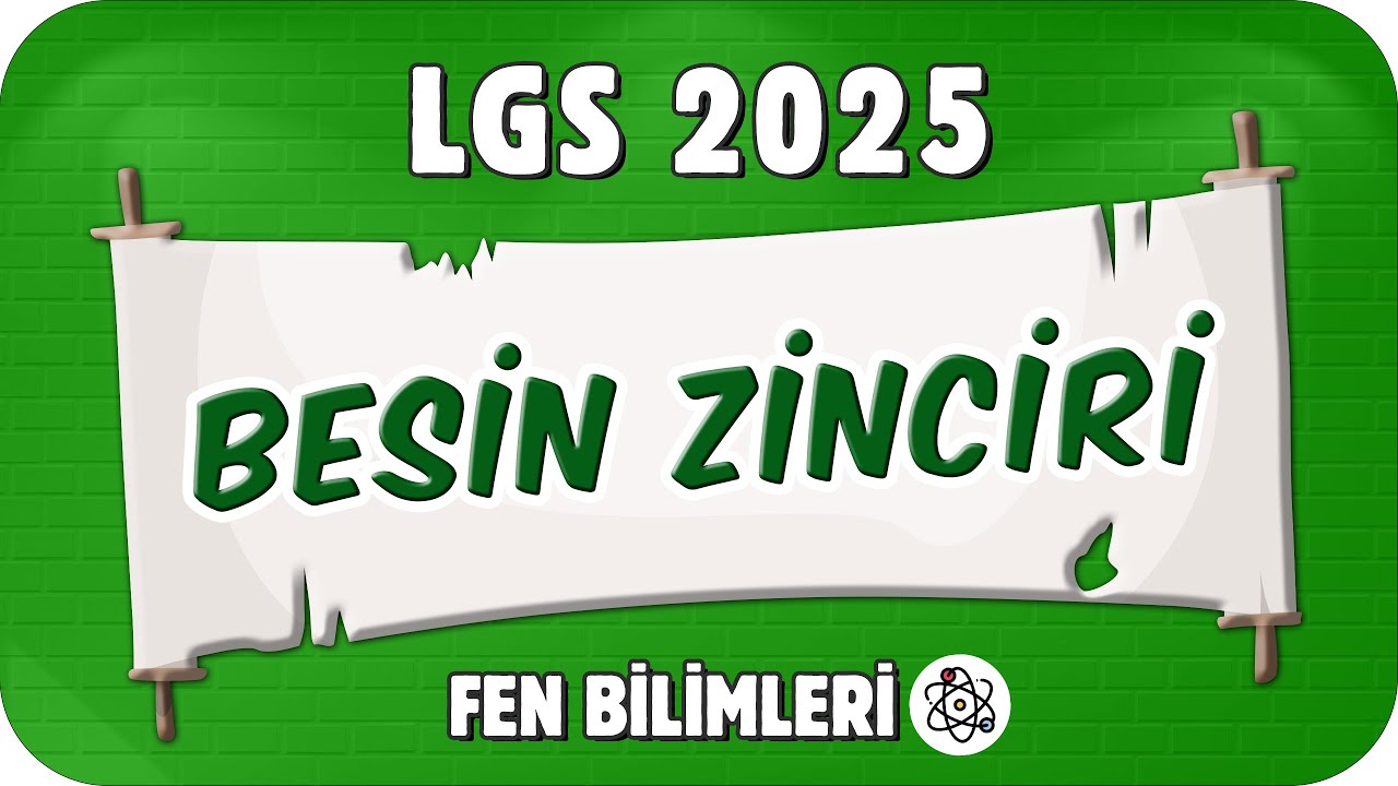 Besin Zinciri 📗 8. Sınıf Fen #2025LGS