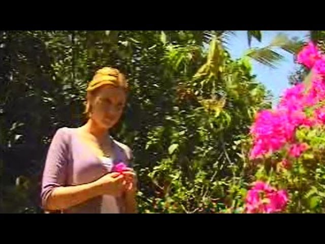 Panbers Gone Are The Song Of Yesterday Official Music Video Youtube