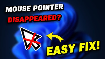 ✅ How To FIX Mouse Cursor Disappeared Problem on Windows 10/11
