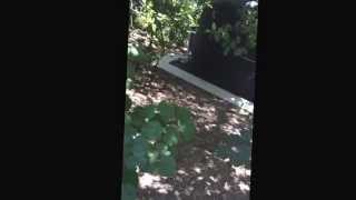 Acid Injector screenshot 2