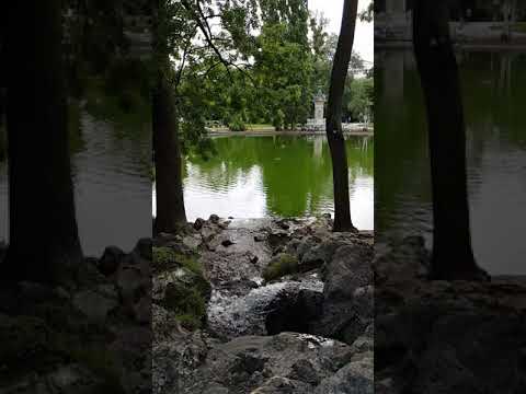 Stadtpark | Vienna