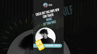 New EDM Magic Torii Wolf #edmmusic #edm #house #edmonton #edmmix #edm2024 #housemusic