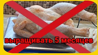картинка: Неудачный эксперемент. Вес петушков ц. бройлера Гриз Бар в 5 месяцев