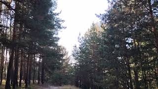 картинка: Полезная лень в нашей жизни