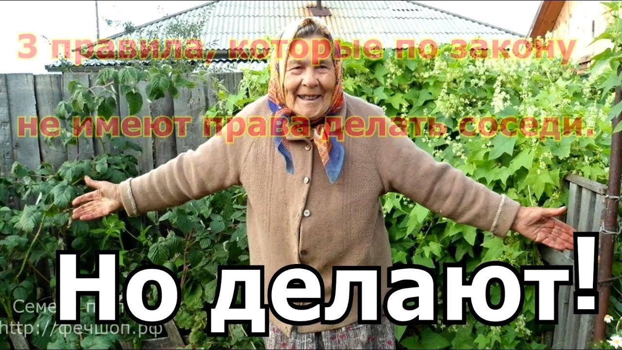 что посадить перед окнами соседей