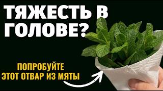 ЭТИ ТРАВЫ ПОМОГАЮТ УБРАТЬ ТЯЖЕСТЬ В ГОЛОВЕ