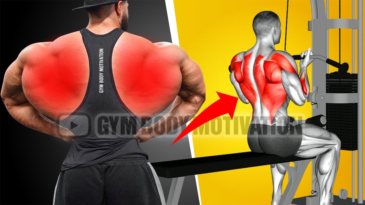 V Shape Back Workout - Do These 6 Exercises 