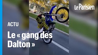 Rodéos urbains: à Lyon, le gang des Dalton à moto défie la police