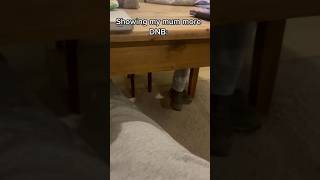 showing my mom DNB…