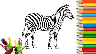 How To Draw Zebra Easy Step By Step Drawing Animals
