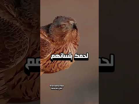 أخبث الناس ليسوا من يعادونك جهارا