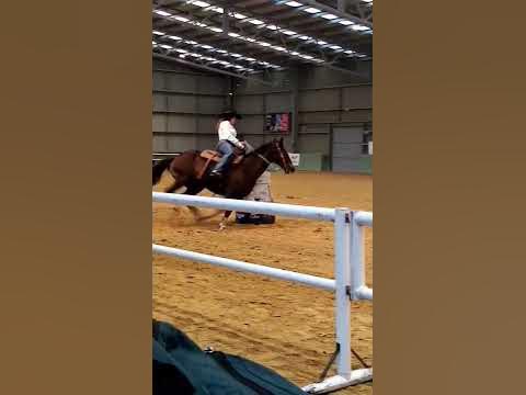 Barrel Racing #shorts - YouTube