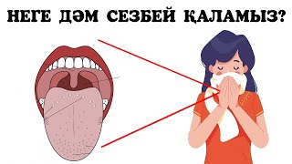 Неліктен тіліміз дәм сезбей қалады? Себебі НЕДЕ?