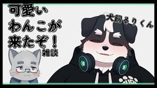 【雑談コラボ】可愛いわんこや…！【ケモノVTuber】