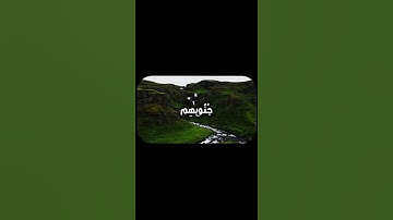 سورة ال عمران الاية 191 | القارئ علي جابر رحمة الله🤍🖤
