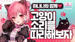 【only 하나나】 함께 불러요! 고양이 소리를 따라해보자♥