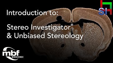 Introduction to Stereo Investigator and Unbiased Stereology
