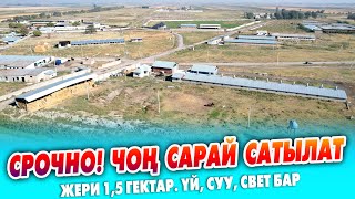 картинка: Чоң САРАЙ, жашай турган ҮЙҮ менен шашылыш сатылат ~ Жери 1, гектар. Суу, свет бар. Документи так