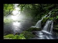 Zen spa music for relax