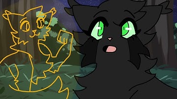 Waiting on a miracle - Hollyleaf MAP // part 23