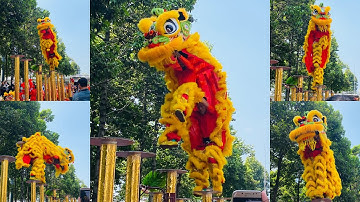 MÚA LÂN HAY NHẤT ĐẶC SẮC NHẤT - LÂN SƯ RỒNG NHƠN NGHĨA ĐƯỜNG - TẾT 2025 - LÂN LÊN MAI HOA THUNG