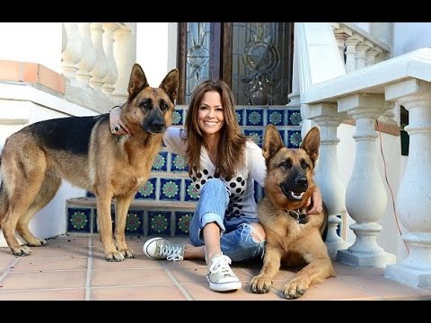 2017-top-9-ways-how-to-take-care-of-a-german-shepherd
